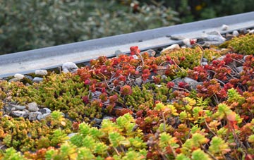 the cost of Belston green roof installation