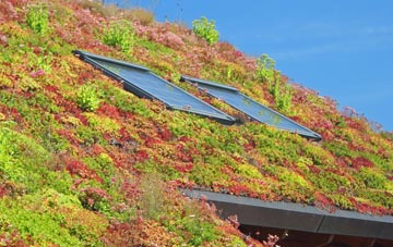 Belston living roof systems