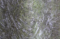 Belston fibreglass roof work